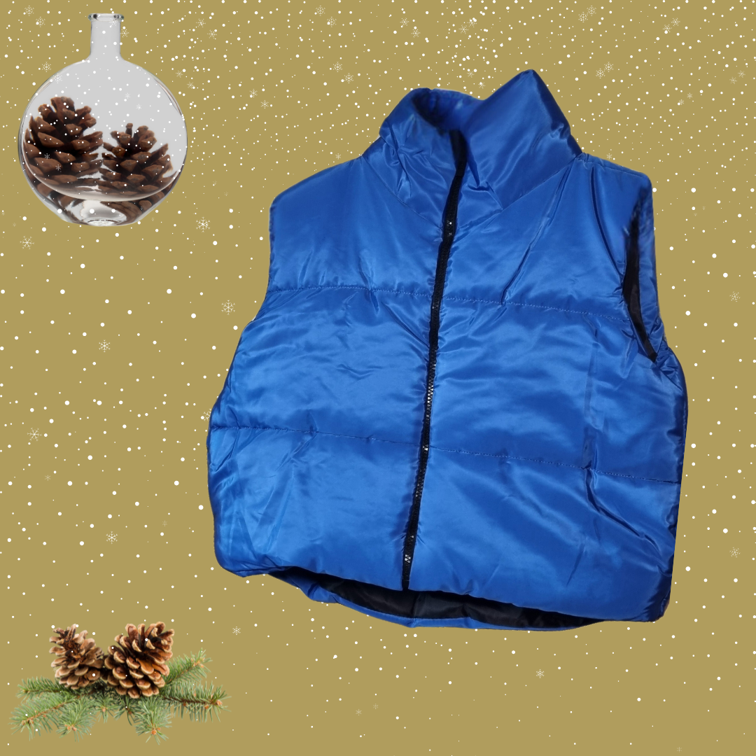 Sleeveless Puffer Jacket